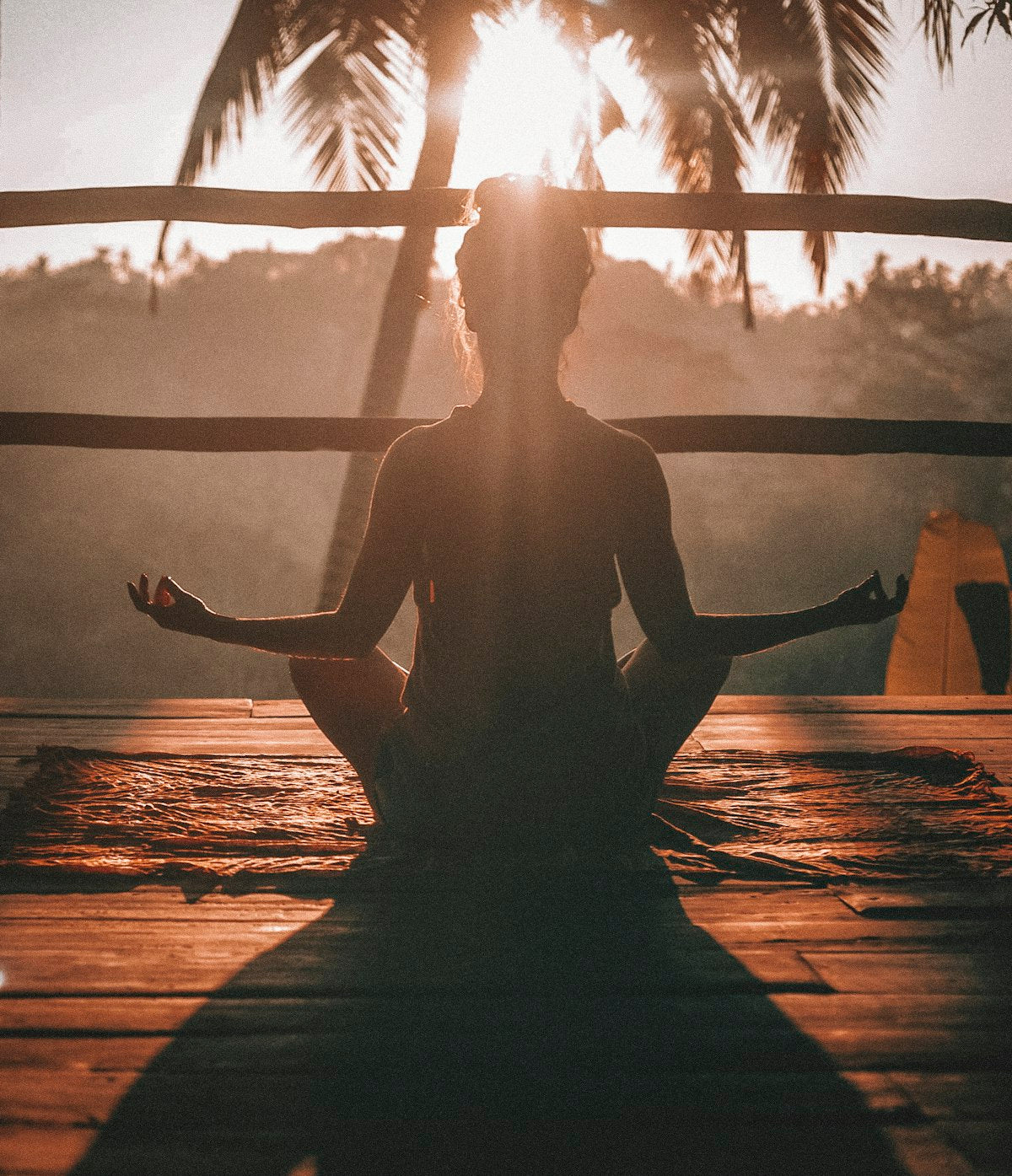 ms-vip-meditation-sunrise.jpg